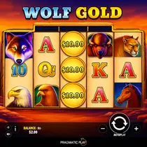 Mad Casino - Wolf Gold Slot Game by Pragmatic Play